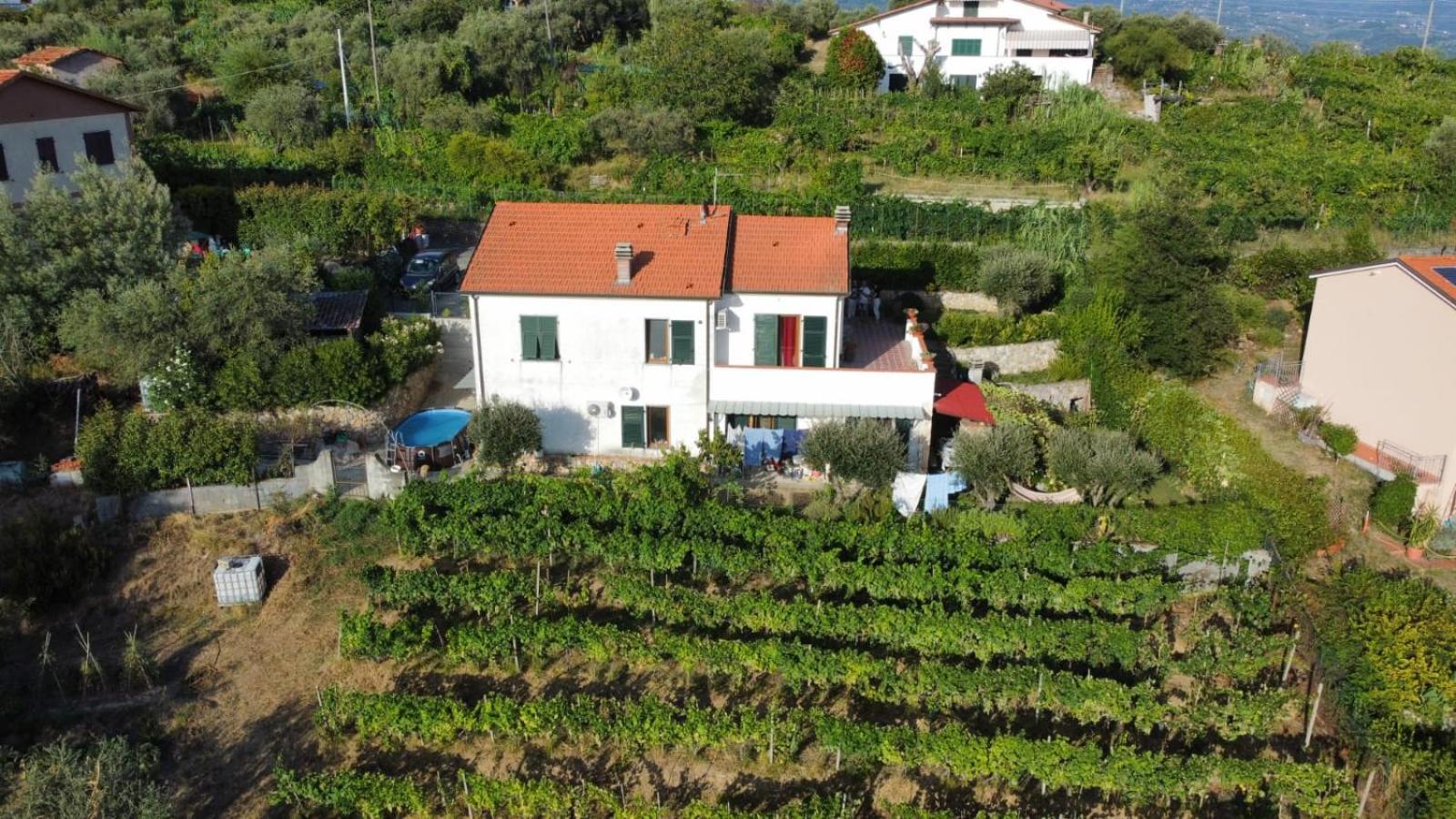 In Vino Veritas Аркола Экстерьер фото
